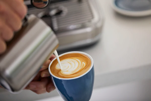 Breville BES878BSS1BCA1 the Barista Pro™ - Image 9