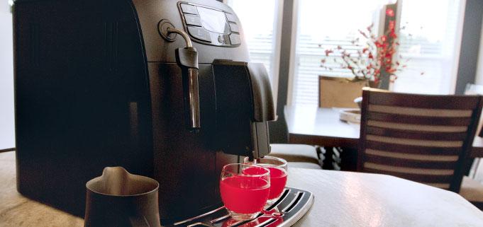 Gaggia Velasca Automatic Coffee and Espresso Machine - Image 20